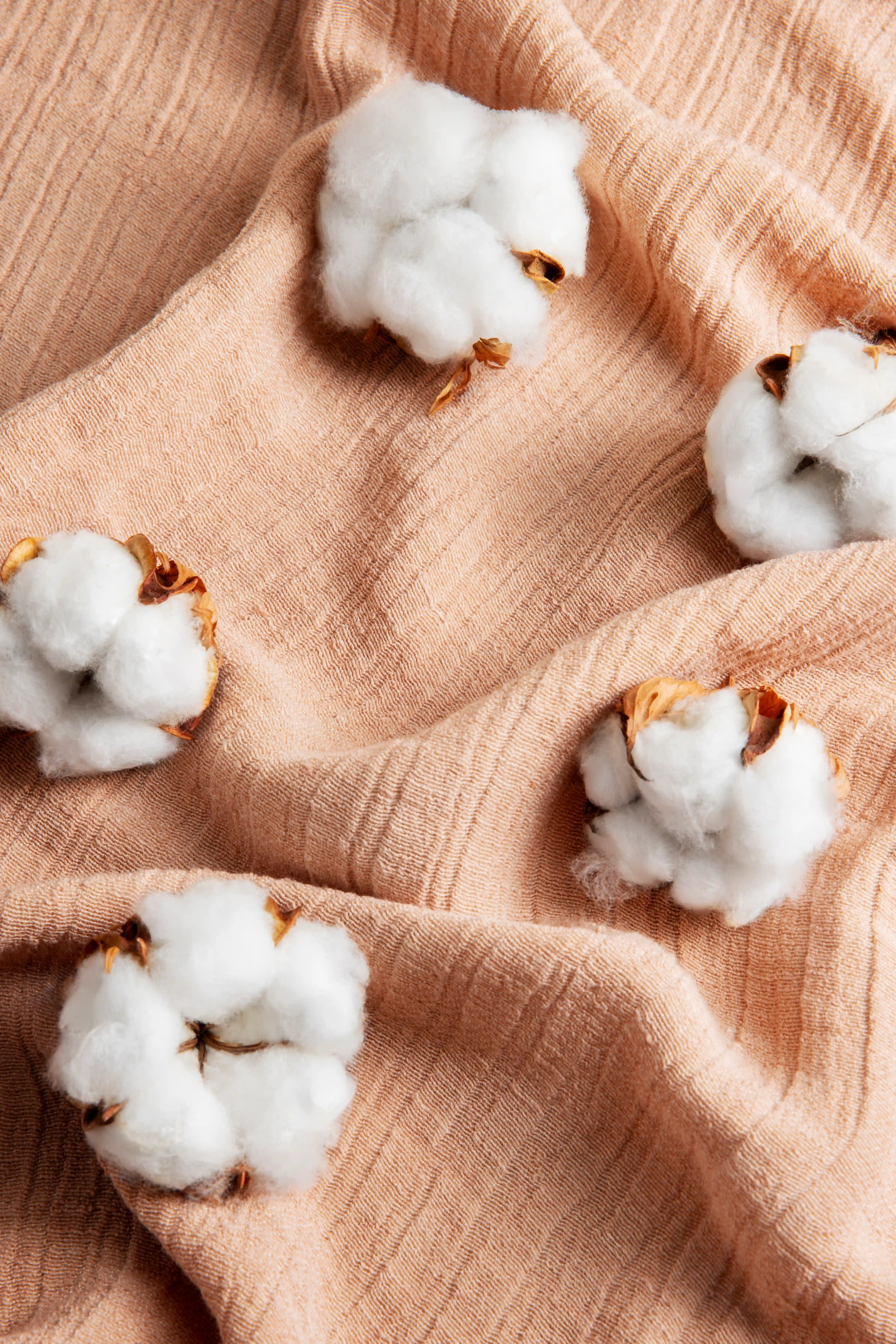 Cotton Fabric